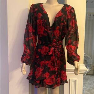 City Triangles Red and Black Floral Long Sleeve Dress